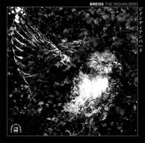 Breiss "The Indian Bird" New LP on a night on canopy